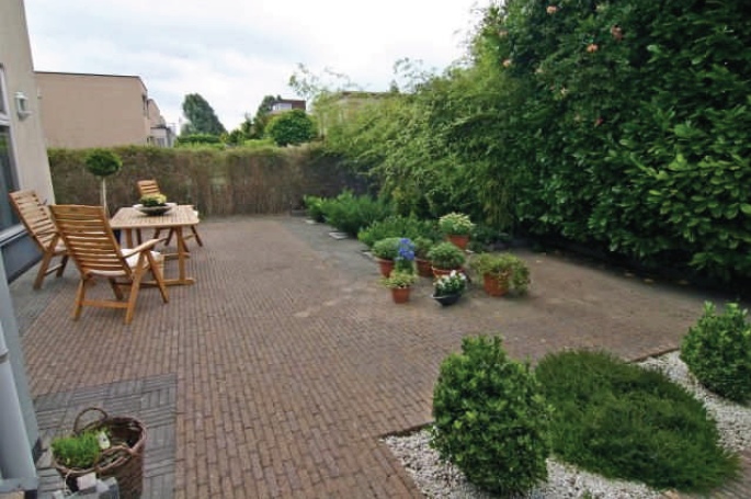 Achtertuin
